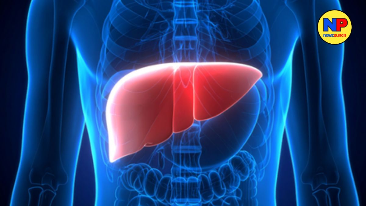 Breakthrough Hope for PSC Patients as New Antibody Reduces Liver Scarring